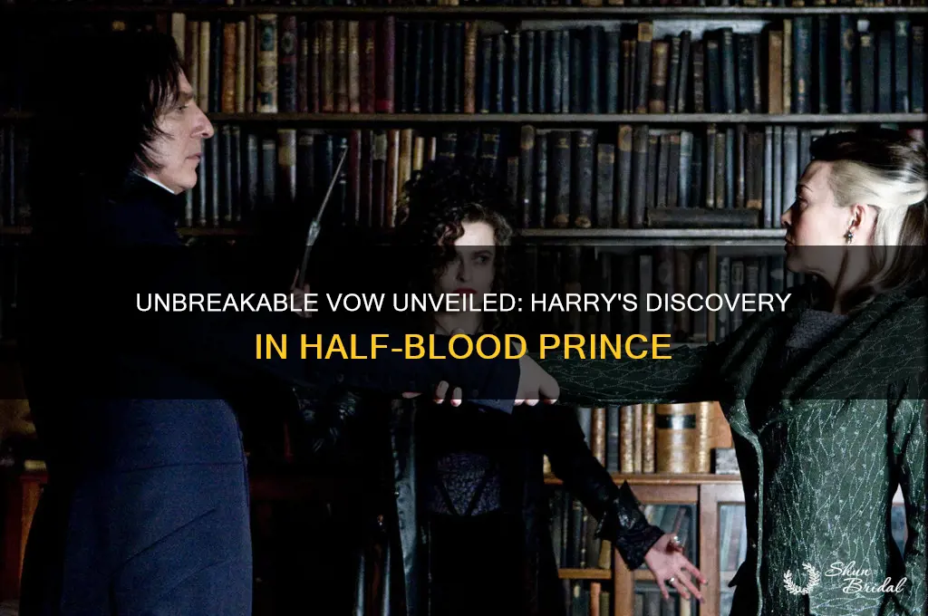 how did harry find out about the unbreakable vow