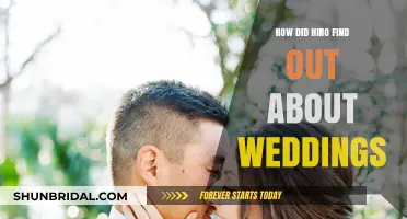 Hiro's Wedding Discovery: Unveiling the Surprising Journey of Realization