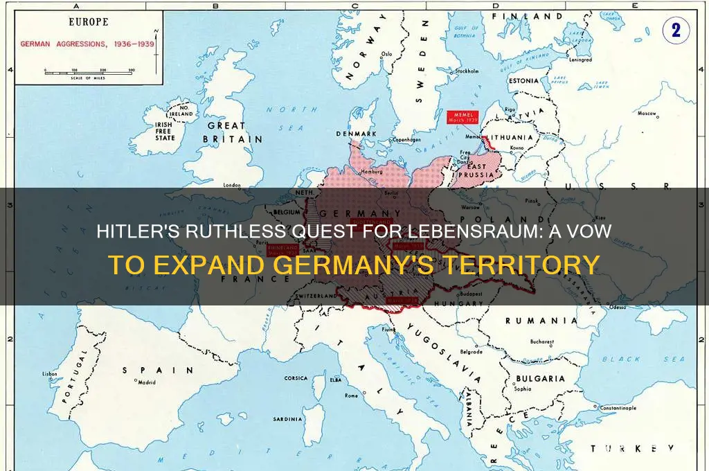 how did hitler vow to get more lebensraum