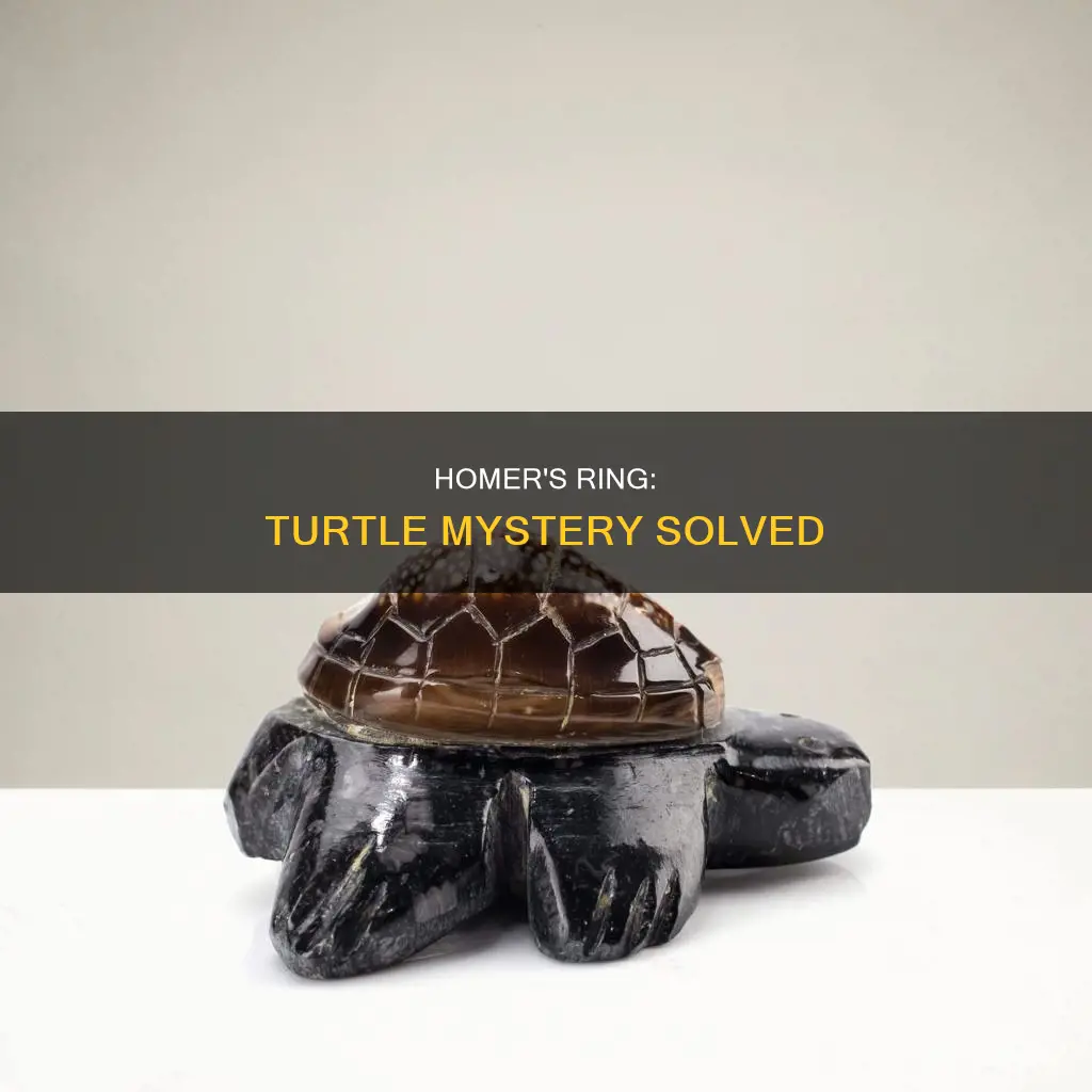 how did homer simpsons wedding ring get in a turtle