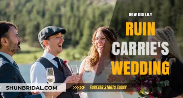 Lily's Chaos: The Shocking Sabotage of Carrie's Wedding Day