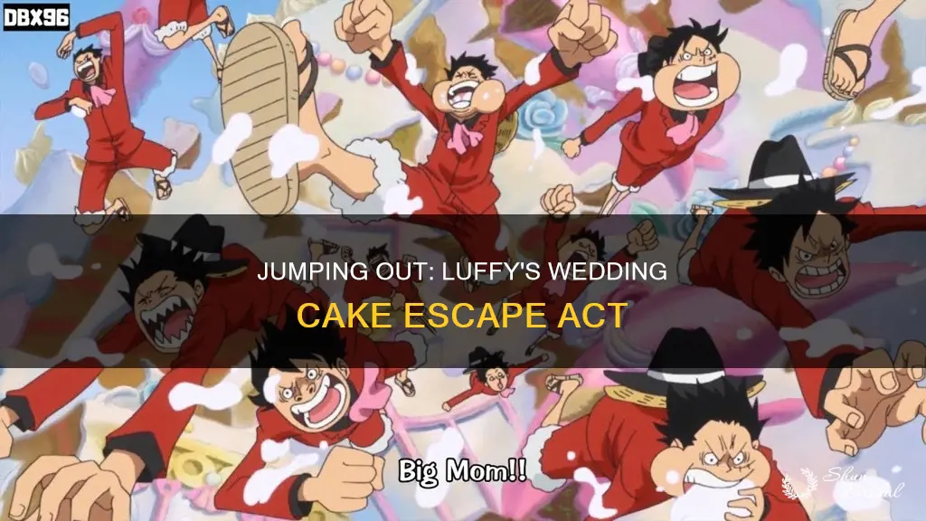 how did luffy jump out of the wedding cake