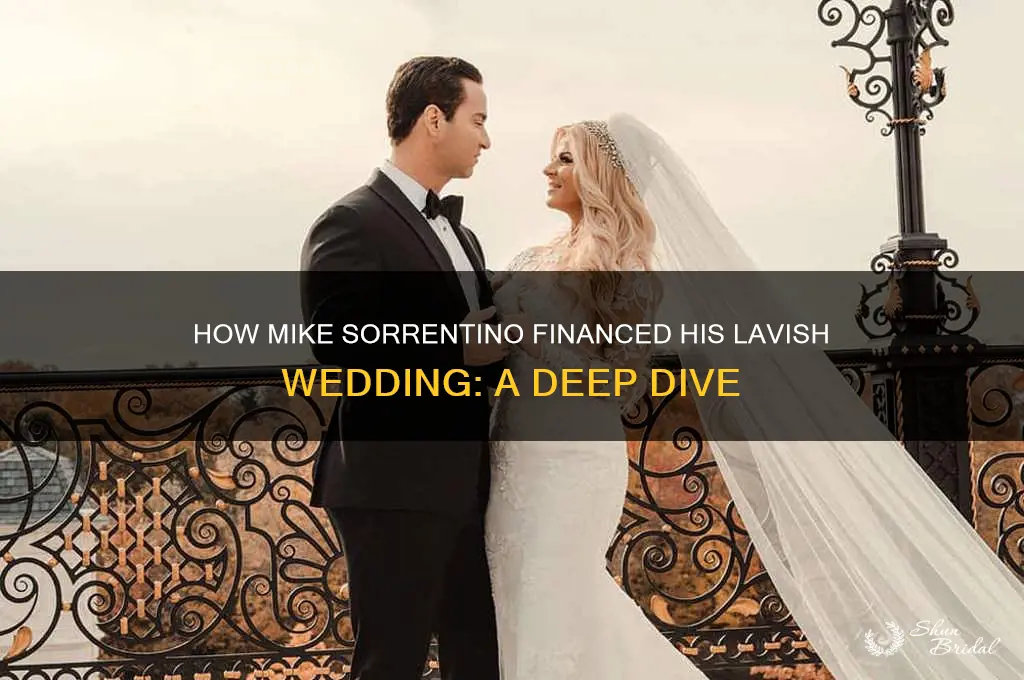 how did mike sorrentino afford his wedding