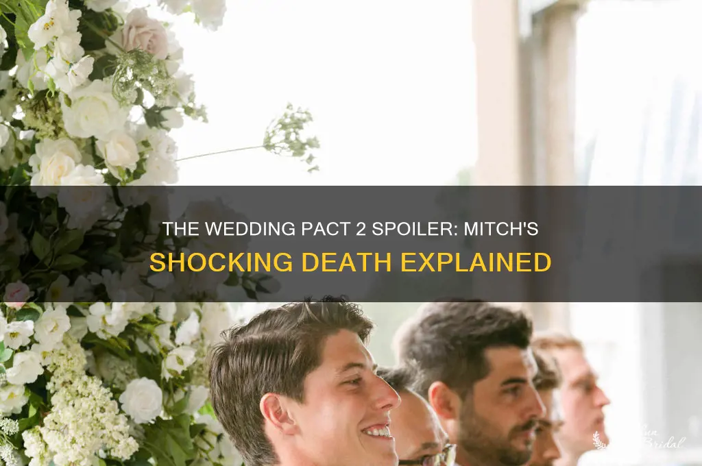 how did mitch die in the wedding pact 2 spoilers