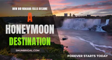 Niagara Falls: From Industrial Wonder to Romantic Getaway