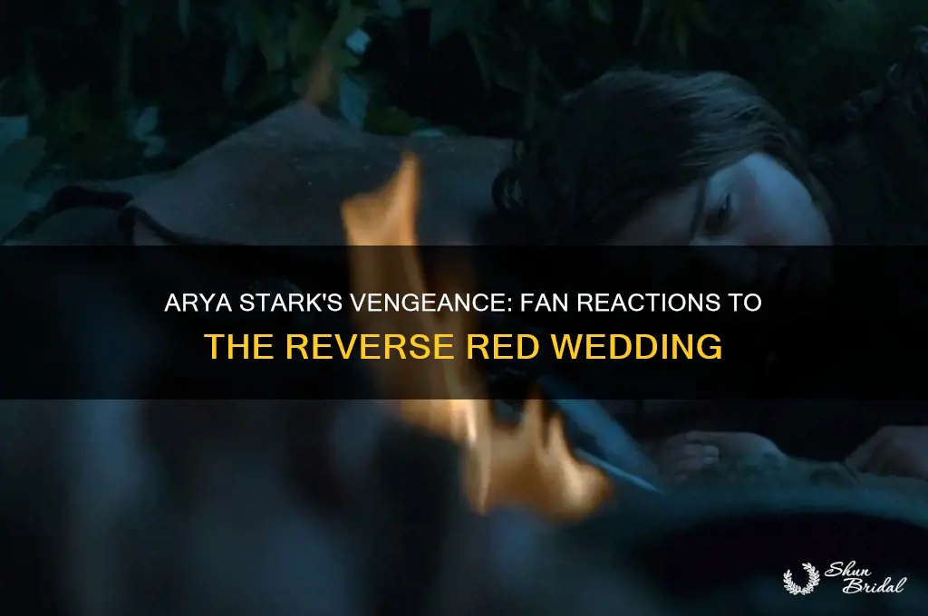 how did people think of.arya after the reverse red wedding