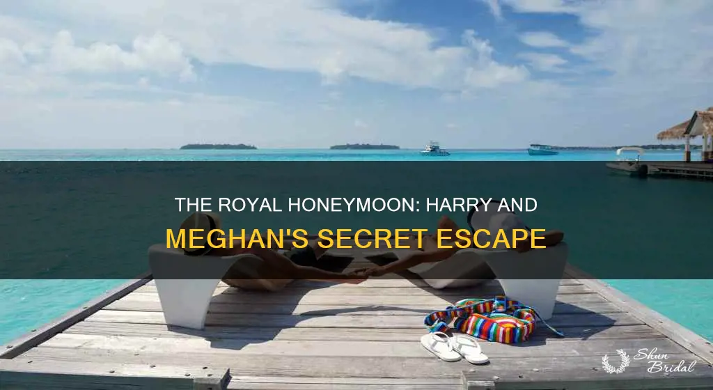 how did prince harry and meghan honeymoon