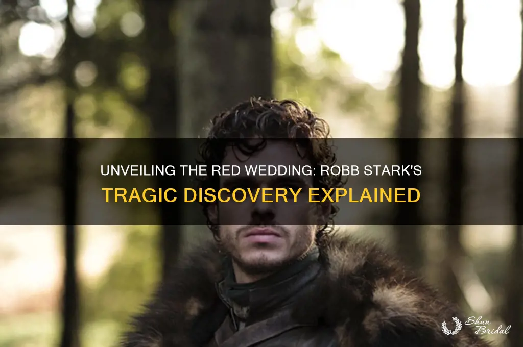 how did robb find out about the red wedding