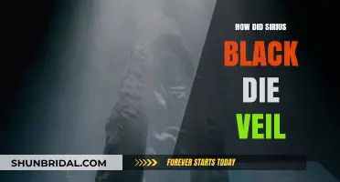 Sirius Black's Tragic Death: Unraveling the Mystery Behind the Veil