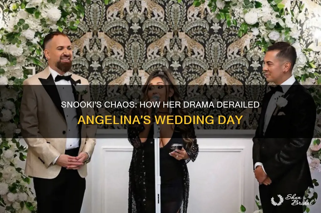 how did snooki ruin angelina