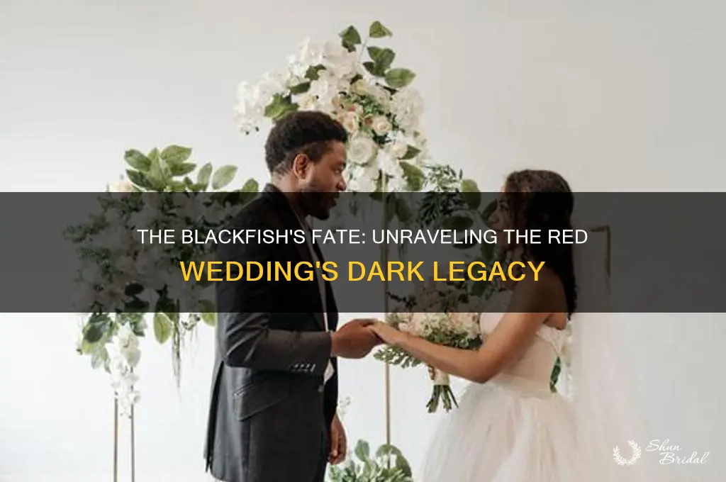 how did the black fish red wedding
