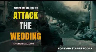 Death Eaters Strike: Chaos Unveiled at the Magical Wedding