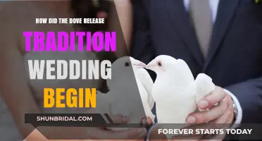 The Symbolic Origins of Dove Releases in Wedding Traditions