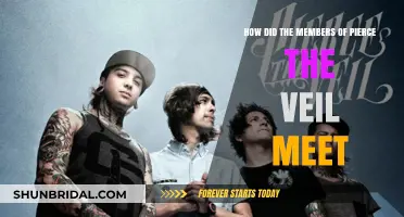 The Serendipitous Journey: How Pierce the Veil's Members United