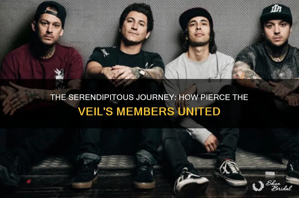 how did the members of pierce the veil meet