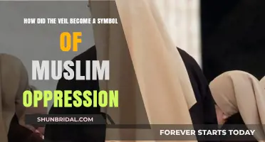 The Veil's Journey: From Tradition to Symbol of Oppression