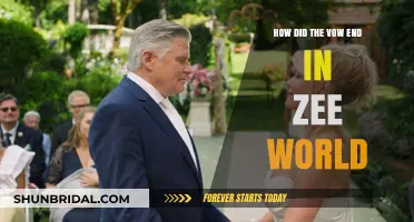 The Vow's Emotional Finale: Zee World's Heart-Wrenching Conclusion Explained