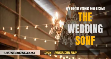 The Evolution of Wedding Songs: From Then to Now