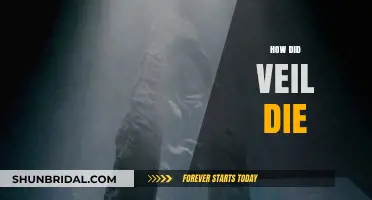 The Mysterious Death of Veil: Unraveling the Tragic End