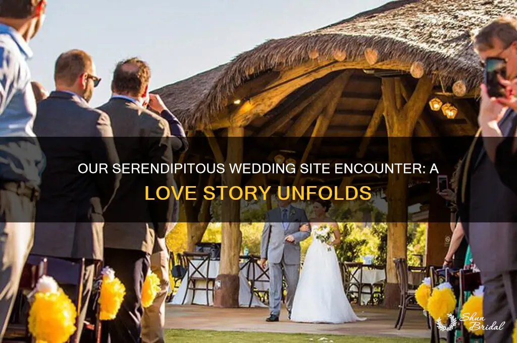 how did we meet in the wedding site