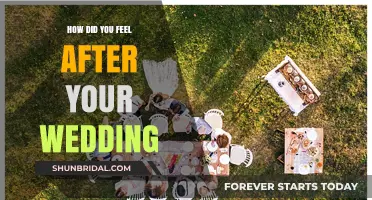 Post-Wedding Bliss: Reflecting on the Emotions After Tying the Knot