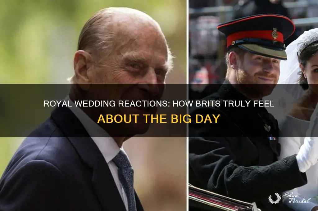 how do brits feel about royal wedding