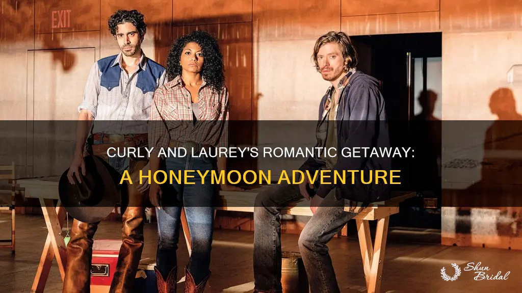 how do curly and laurey leave for their honeymoon