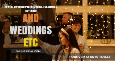 Co-Parenting Beyond Divorce: Navigating Grandkids' Celebrations with Grace and Unity