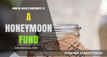 Creative Ways Guests Can Contribute to Your Honeymoon Fund