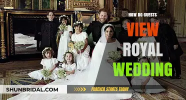 Royal Wedding Spectacle: Guest Perspectives on Tradition and Glamour
