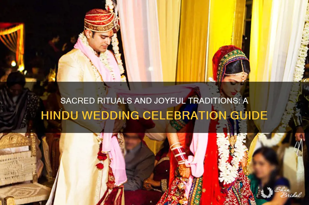 how do hindus celebrate their wedding