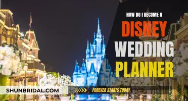 Disney Wedding Planner: Your Dream Job Guide