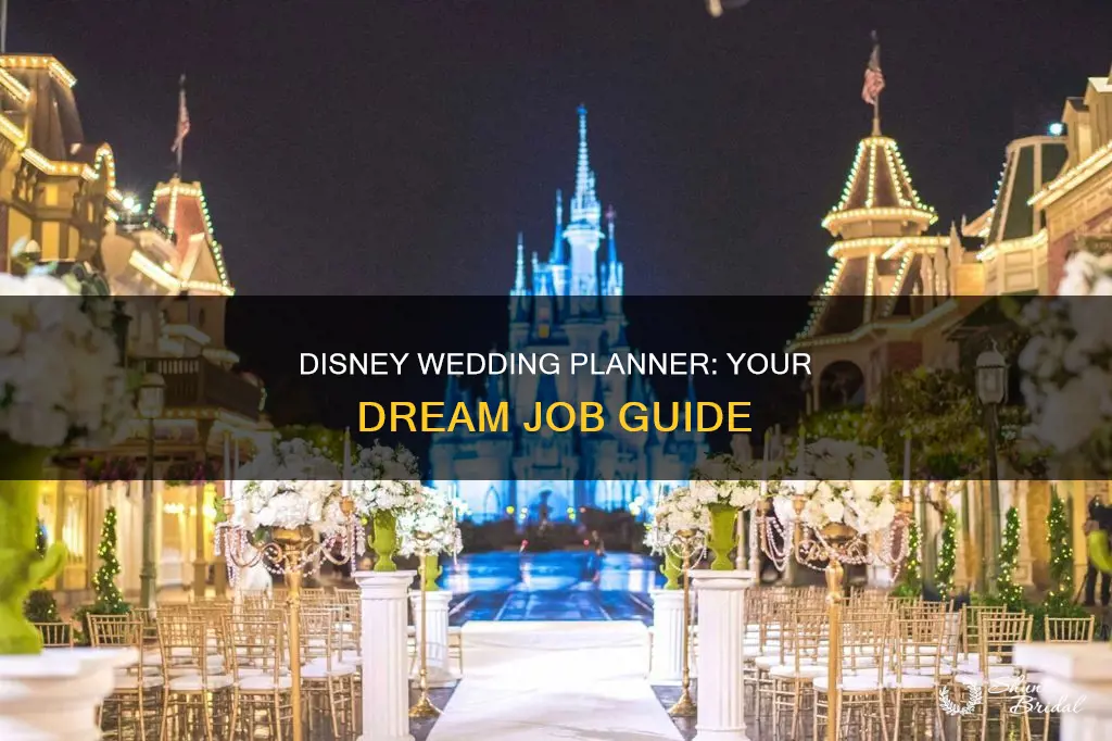 how do I become a disney wedding planner