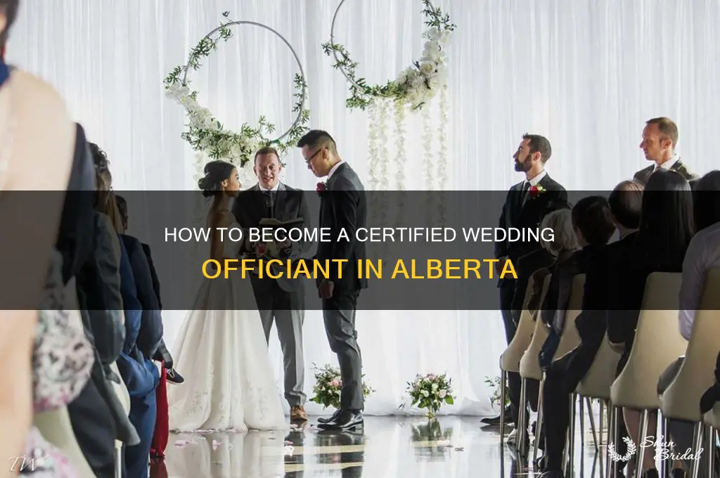 how do I become a wedding officiant in alberta