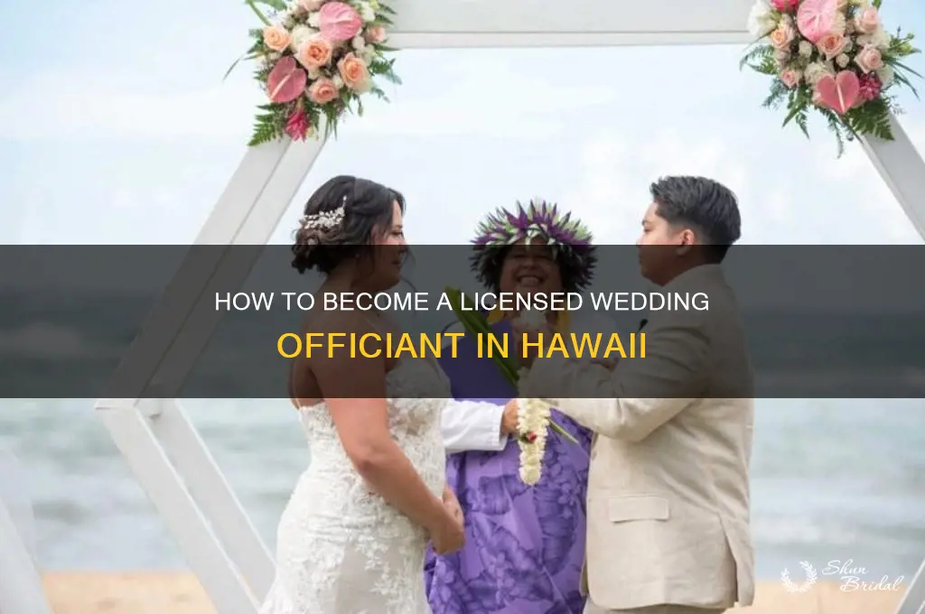 how do I become a wedding officiant in hawaii