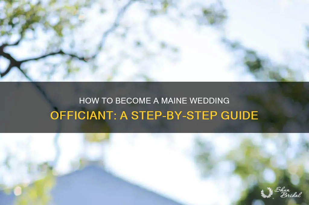 how do I become a wedding officiant state of maine