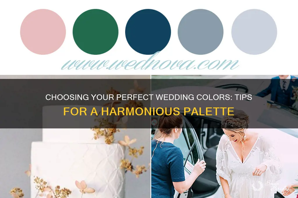 how do I choose my wedding colours