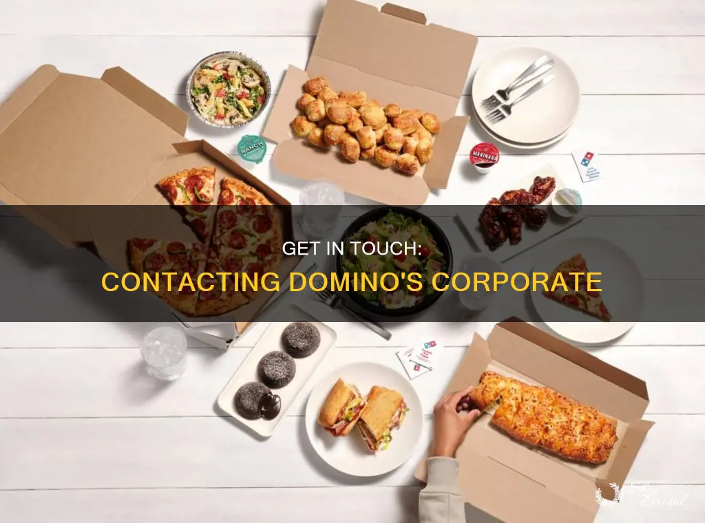 how do I contact domino