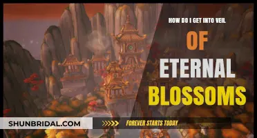 Accessing Veil of Eternal Blossoms: A Beginner's Guide to Entry