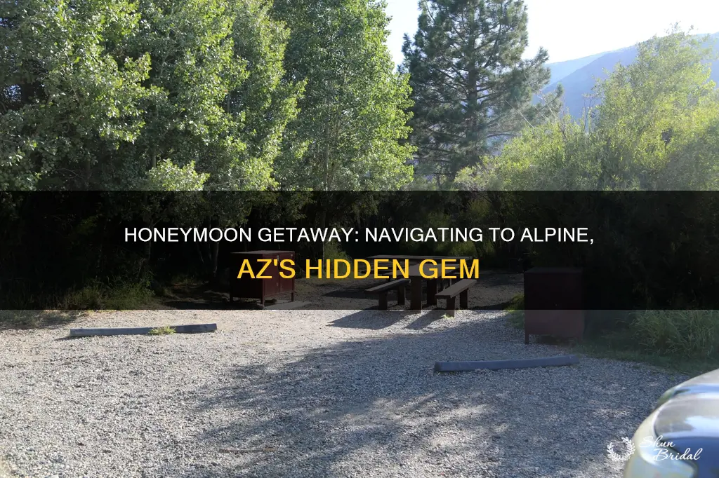 how do I get to honeymoon campground by alpine az