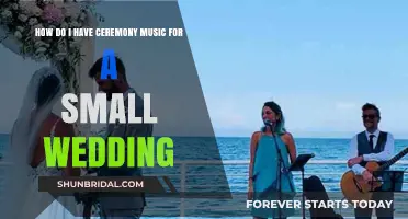 Intimate Wedding Ceremony Music Ideas for Your Small Celebration