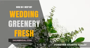 Keeping Your Wedding Greenery Fresh: Essential Tips for Lasting Beauty