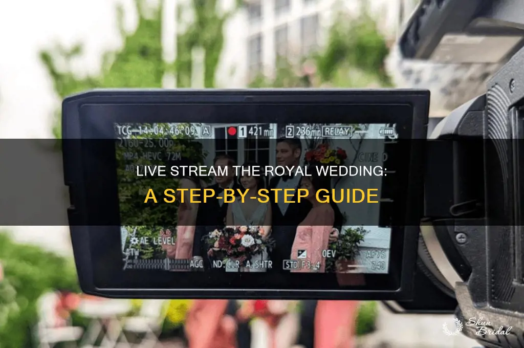 how do i live stream the royal wedding