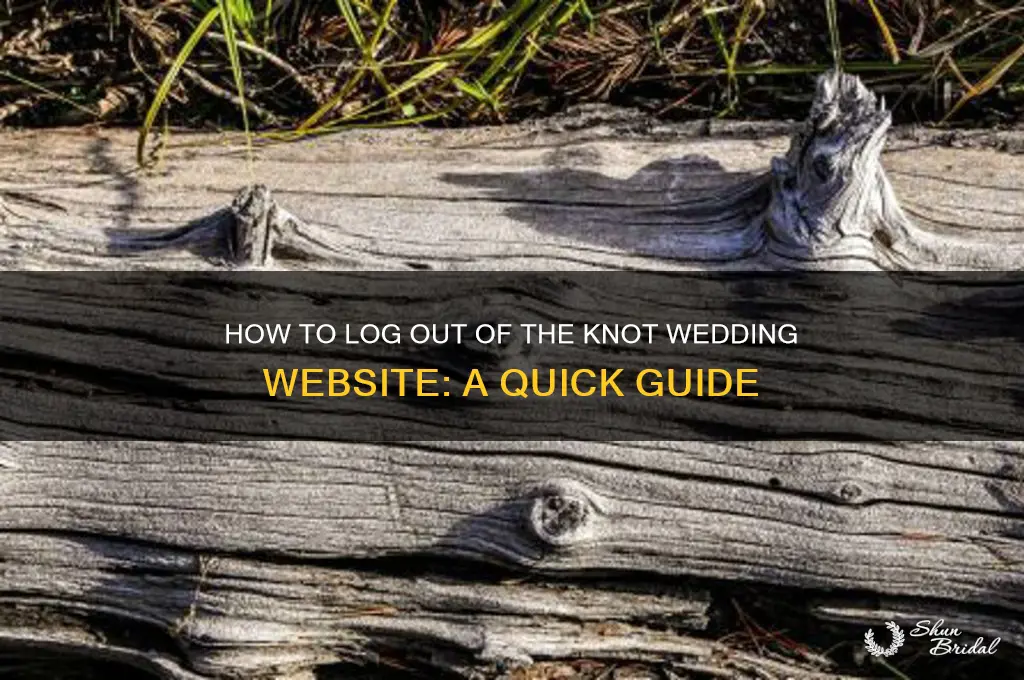 how do I log out of the knot wedding website