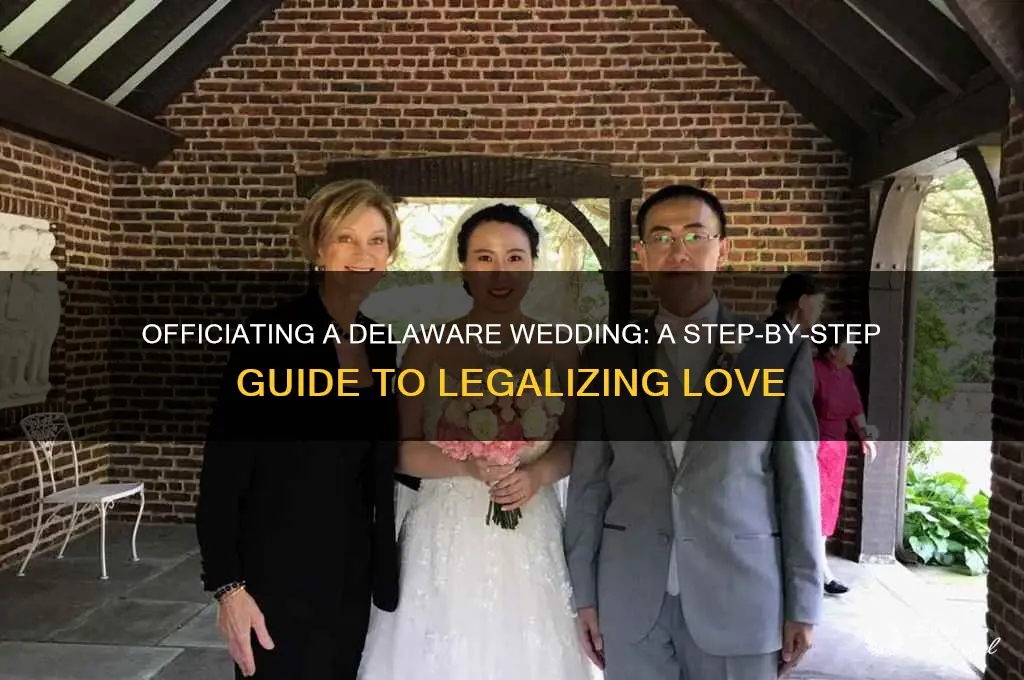 how do I officiate a wedding in delaware