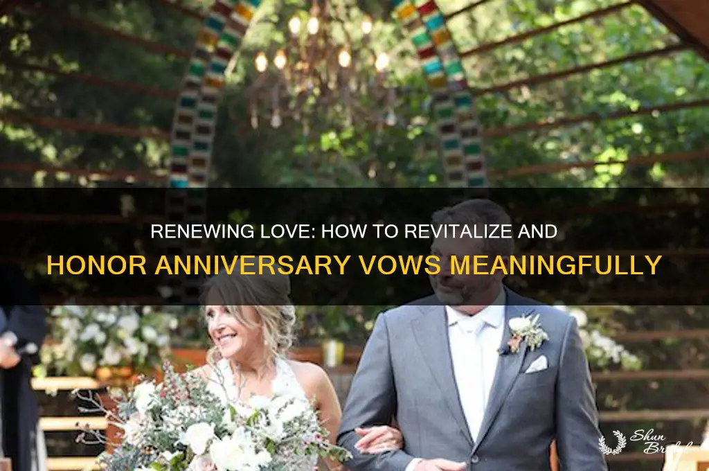 how do i owe vitiate anniversary vows