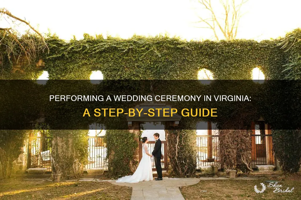 how do I perform a wedding ceremony in Virginia