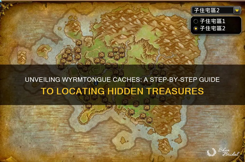 how do i see veiled wyrmtongue caches