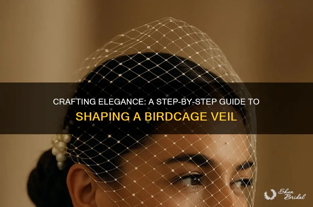 how do i shape a birdcage veil