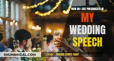 Using 'Prevaricate' in Wedding Speeches: Tips and Tricks